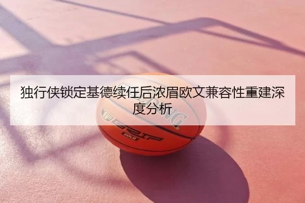 独行侠锁定基德续任后浓眉欧文兼容性重建深度分析